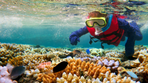 Australien Great Barrier Reef Schnorchler iStock chameleonseye.jpg